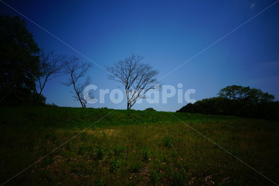 감성사진,초원,nature,자연,outdoors,옥외,들,field,목초지,grassland