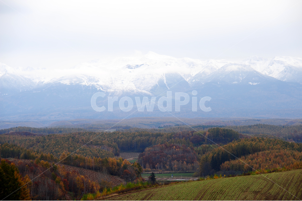 일본,홋카이도,비에이,설산,초원,나무,눈,가을,겨울,자연,풍경,nature,landscape,시골,마을,country,rural,town,해외,외국,세계,foreign,oversea,world,세계자연풍경,해외자연풍경,외국자연풍경,world nature landscape,outdoors,옥외,mountain,산,mountain range,산맥,plateau,고원