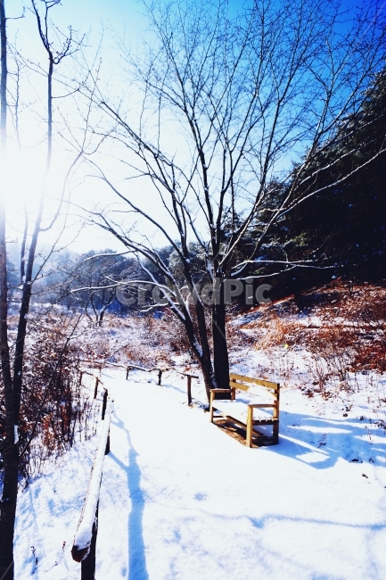 눈,나무,의자,겨울,겨울왕국,휴식,겨울,계절,winter,season,자연,풍경,nature,landscape