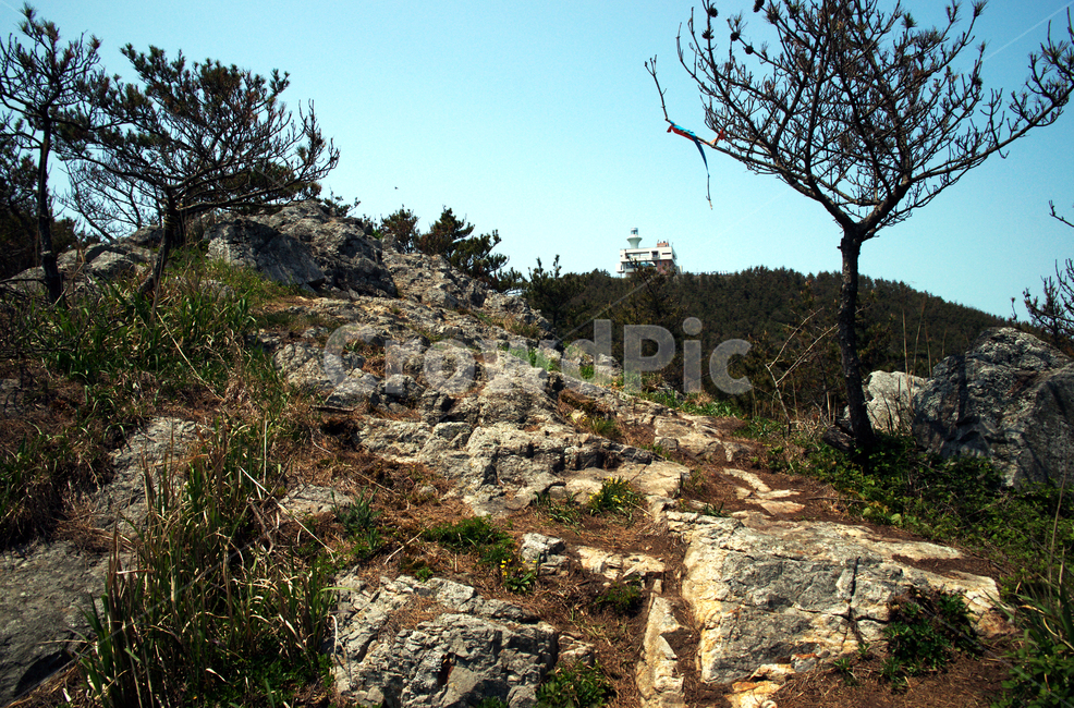 봉글레산,추자등대,추자도,올레181코스,올레코스,제주,암석,자연,풍경,nature,landscape,ground,바닥,tree,나무,plant,식물