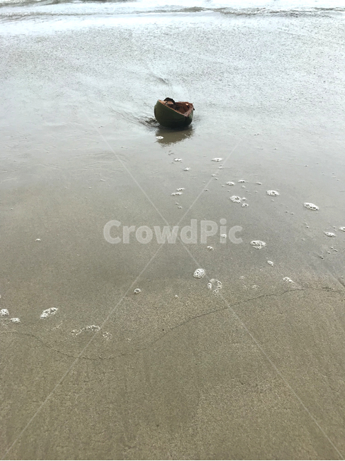 해안,해변,파도,백사장,코코넛,ocean,대양,sea,바다,water,물,shoreline,해안선,coast,beach,바닷가,연안,옥외,nature,자연,sand,모래,outdoors,해변,바다,beach,sea