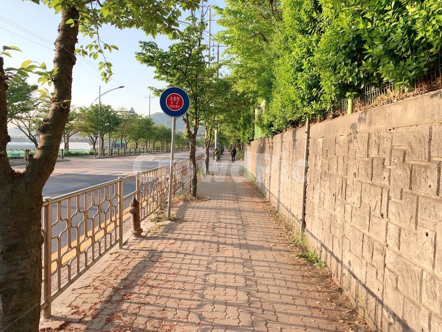 골목,감성,길거리,햇살,상쾌