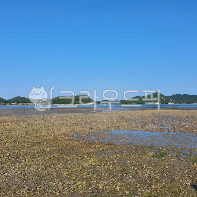 진도,죽림어촌체험마을,갯벌체험,썰물,outdoors,land,sea,바다