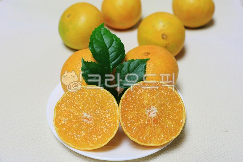 감귤류,orange,천혜향,황금향,레드향,귤,밀감,제주감귤,과일,fruit,food,그릇,초록잎,노랑,맛있는,새콤한,달콤한,새콤달콤,주황색,노란과일,음식,식품