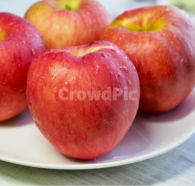 사과,과일,빨강,빨강사과,가을사과,유기농,유기농과일,유기농사과,웰빙,음식,apple,fruit,red,redapple,applefruit,organic,organicfruit,organicapples,wellbeing,food,음식,식재료,요리,food,cook,meal,dishes,food reserves,과일,열매,fruit