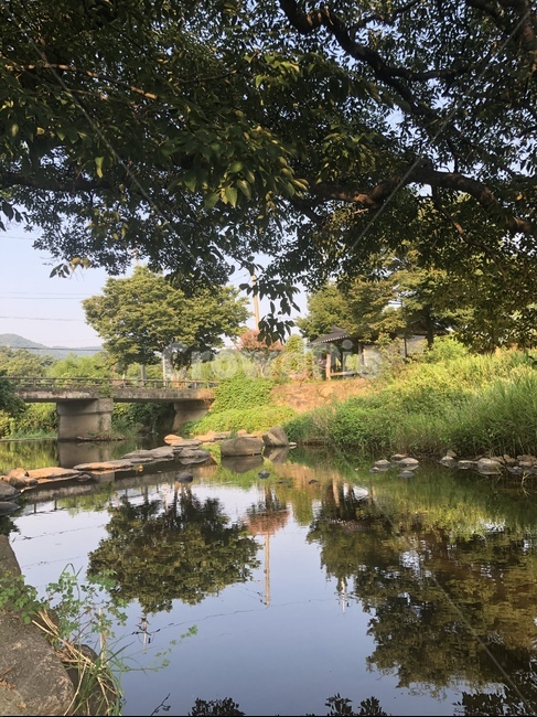물,자연,nature,정자,다리