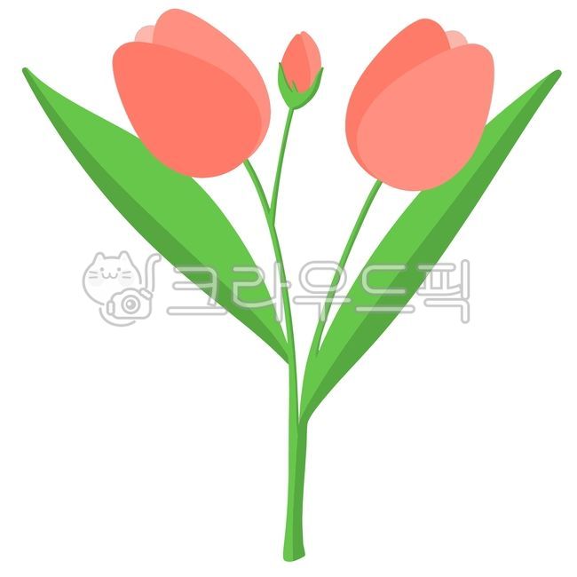 flower,tulip,꽃다발,꽃,튤립,꽃잎,꽃봉오리,잎사귀,봄,정원,자연,다채로움,사랑,선물,튤립일러스트,꽃일러스트,꽃다발일러스트,프로포즈,축제,감성,계절,꽃밭,튤립다발,예쁜,pasteltone,leaf,season,gift,tulipillustration,spring,기념일,colorfulness,garden,nature,netherlands,fairytale