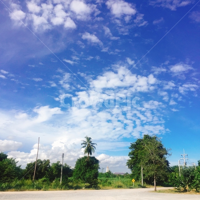 파란하늘,나무,자연풍경,하얀구름,구름,파란색,풍경,자유,여유,chilling,bluesky,베트남