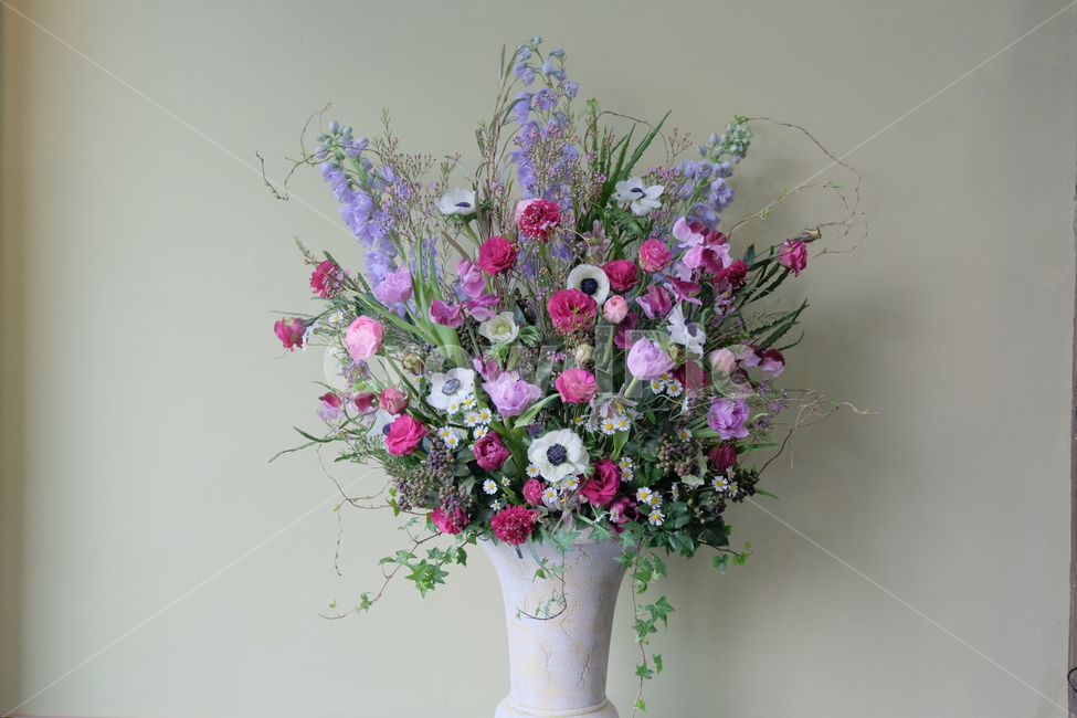 plant,식물,꽃꽂이,flowerarrangement,flower,꽃
