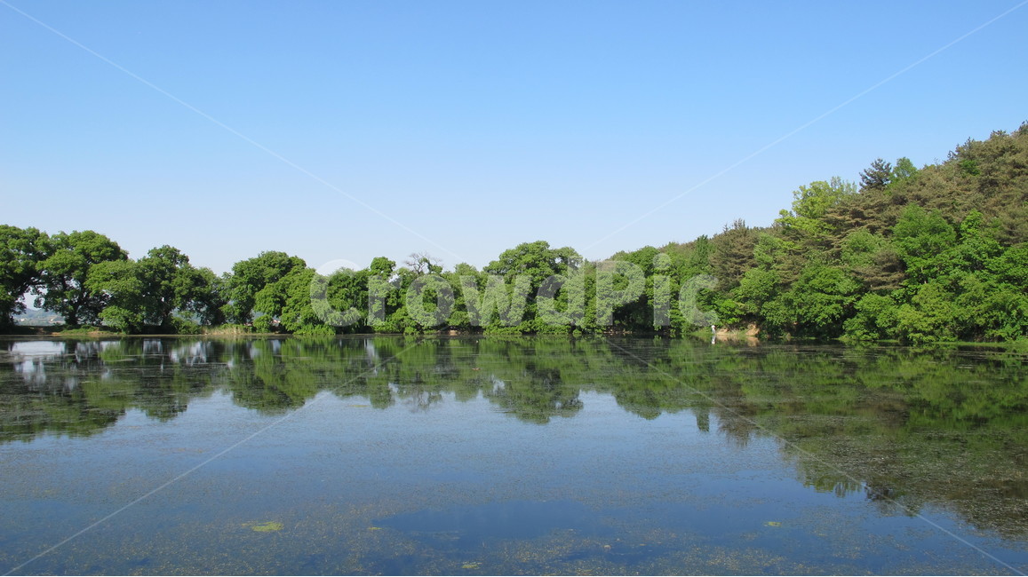 반곡지,reservoir,경산,호수,풍경,자연,풍경,nature,landscape,water,물,outdoors,옥외