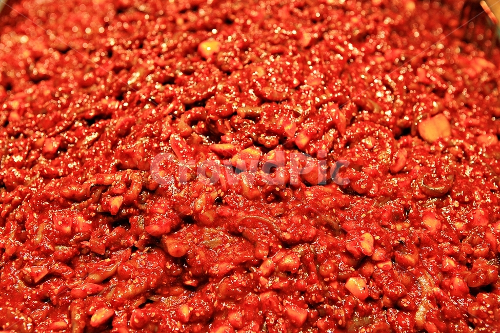 낙지젓,젓갈,낙지,음식,먹거리,음식,식재료,요리,food,cook,meal,dishes,food reserves
