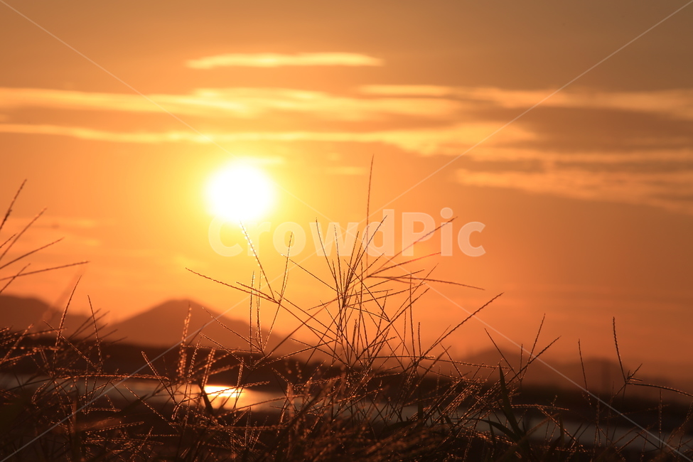부산,다대포,노을,낙조,플레어,해질녁,매직아워,자연,풍경,nature,landscape,light,빛,flare,sunlight,햇빛,outdoors,옥외