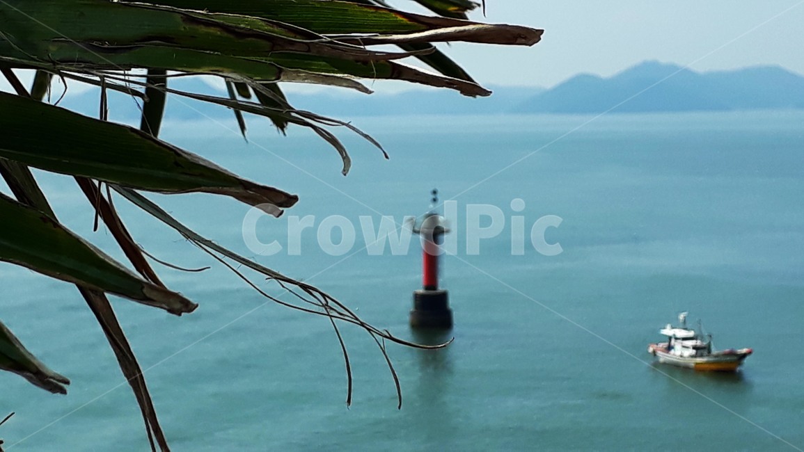 boat,보트,교통,바다,등대