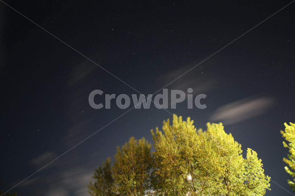 야경,별,풍경,나무,숲,구름,하늘,별사진,은하수,자연,풍경,nature,landscape,야경,밤,nightscape,night,outdoors,옥외