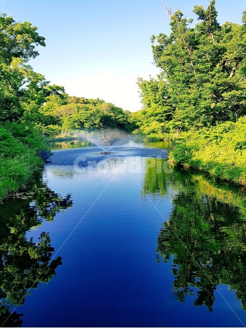분수,호수,scenery,fountain,풍경,자연,풍경,nature,landscape,water,물,outdoors,옥외,land,땅