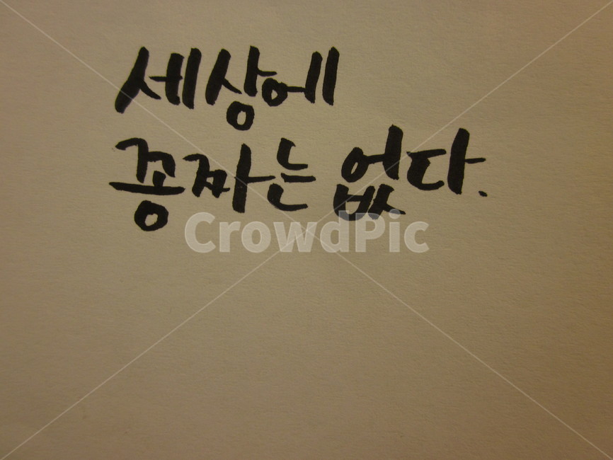 손글씨,명언,캘리그라피,calligraphy,text,캘리그라피,손글씨,calligraphy