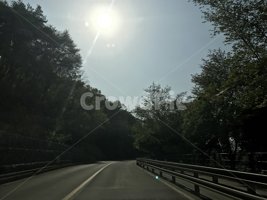 길,도로,풍경,자연,힐링