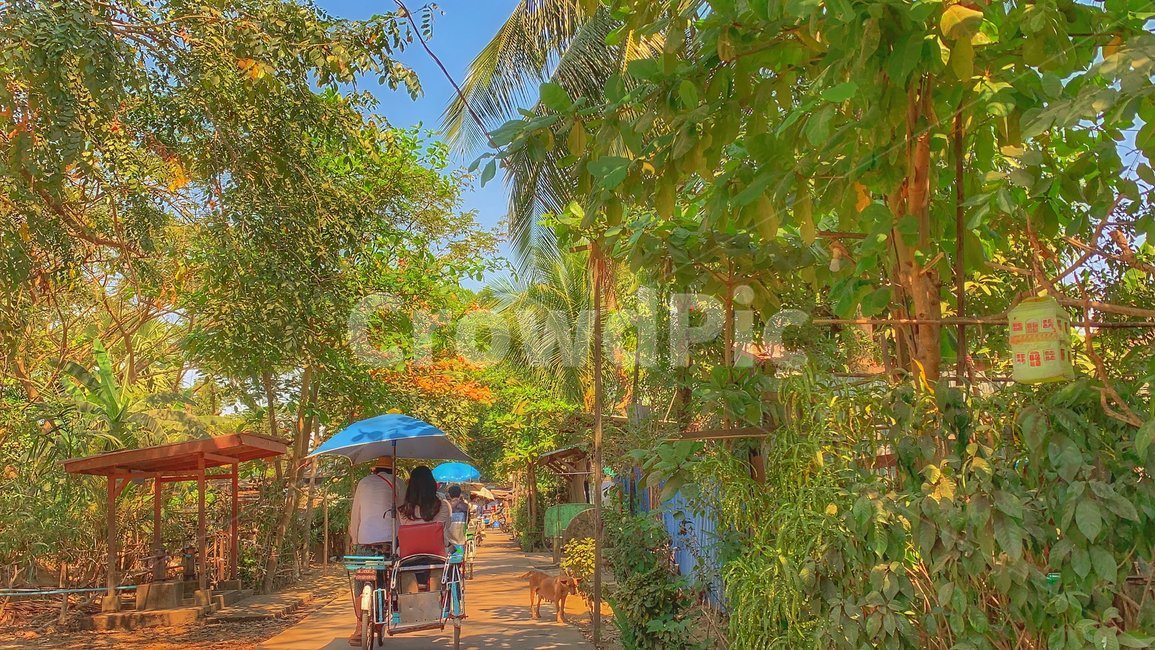 garden,outdoors,풍경,나무,자연
