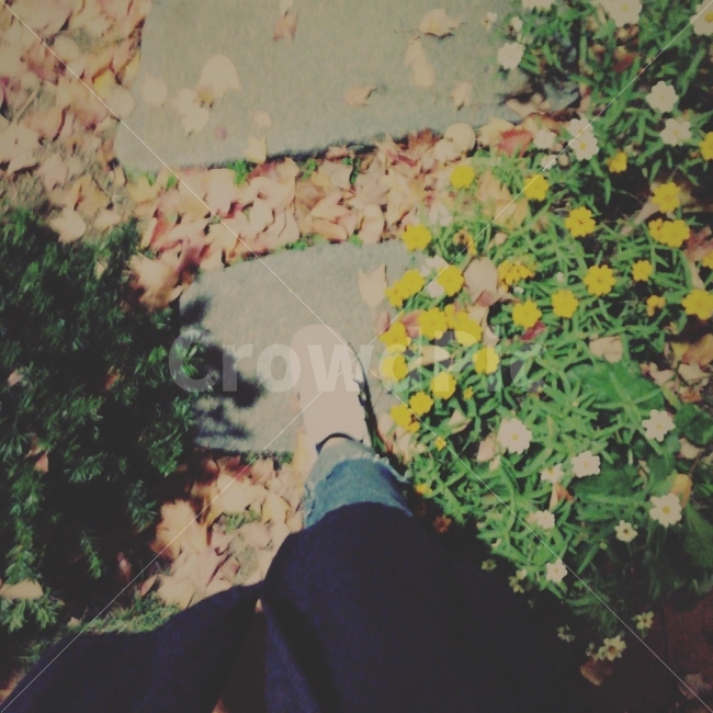 발걸음,가을,인물,발,꽃길,바람이불어오는곳,감성사진,사진,사람,인물,인간,human,person