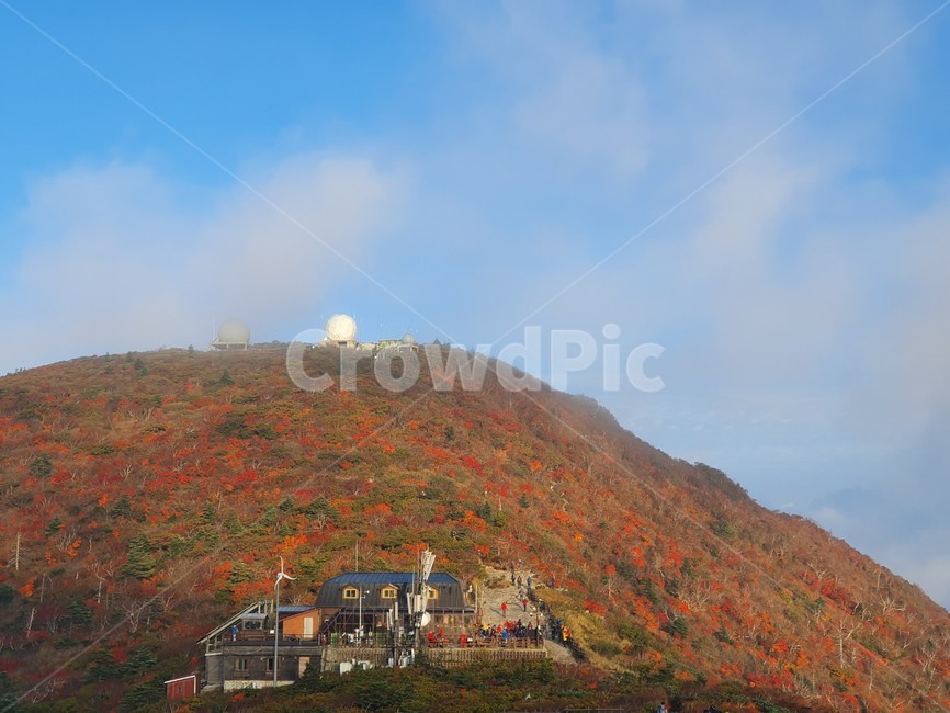 설악산,중청,단풍,가을,첫단풍,가을,계절,fall,autumn,season,nature,자연,outdoors,옥외,hill,언덕