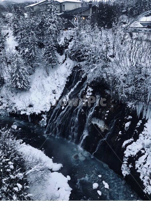일본,훗카이도,삿포로,비에이,풍경,눈,겨울,계절,winter,season,자연,풍경,nature,landscape,해외,외국,세계,foreign,oversea,world,세계자연풍경,해외자연풍경,외국자연풍경,world nature landscape,plant,식물,fir,전나무,abies,아비,tree,나무,outdoors,옥외,ice,빙