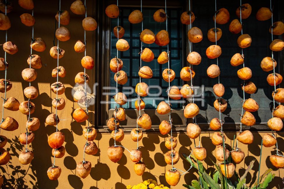 과일,감,곶감,음식,건조식품,food,fruit