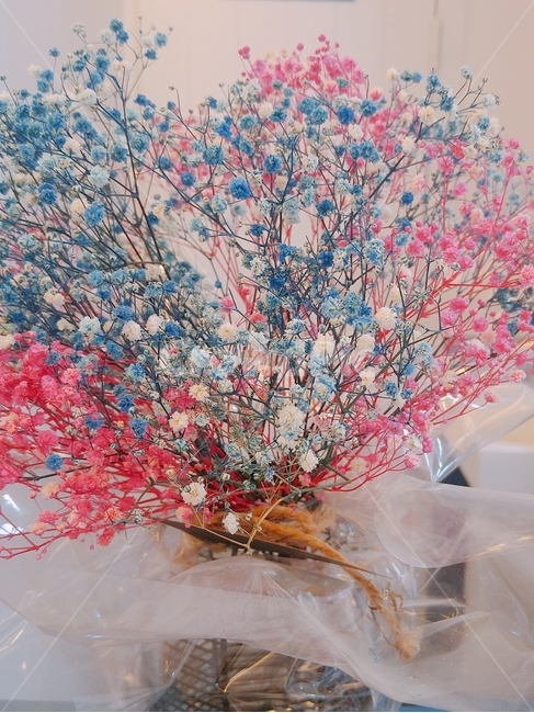 꽃,화분,식물,아름다움,파란색,분홍색,꽃다발,flower,flowerpot,plant,beautiful,bouquet,blue,pink