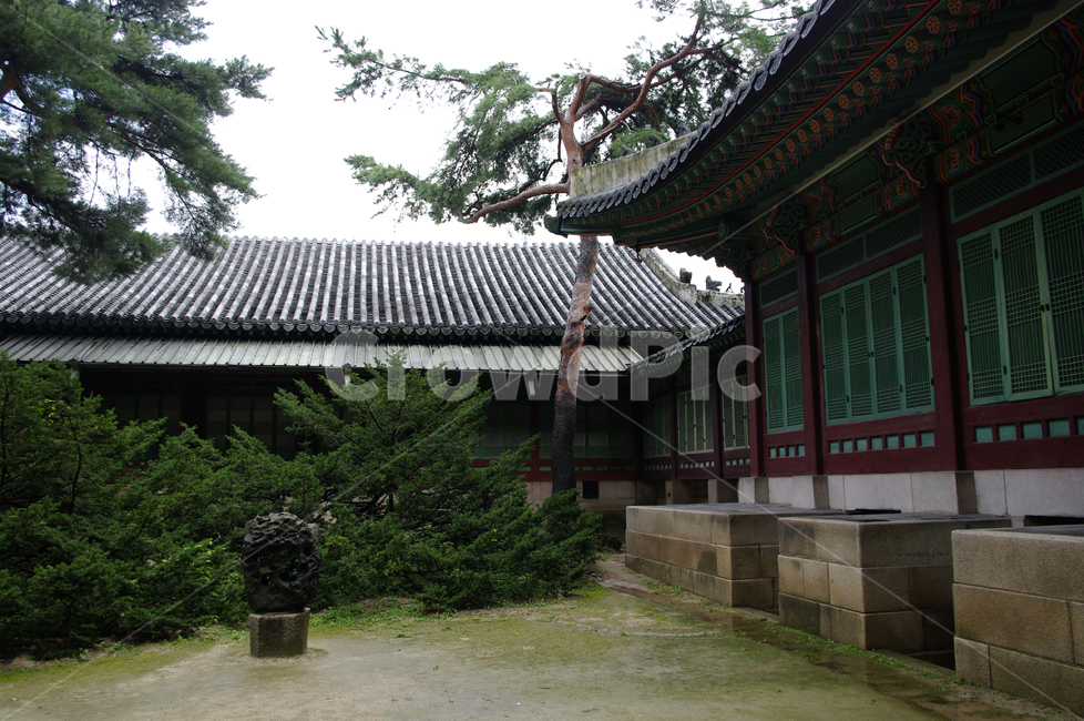 창덕궁,고궁,전각,한옥,전통가옥,기와지붕,건축,traditional,한국전통,한국문화,korean traditional,korean culture,랜드마크,landmark,tourist attraction,한국랜드마크,한국관광지,한국명소,korea landmark,korea tourist attraction,건축물,건물외관,exterior,building,structure,architecture,construction