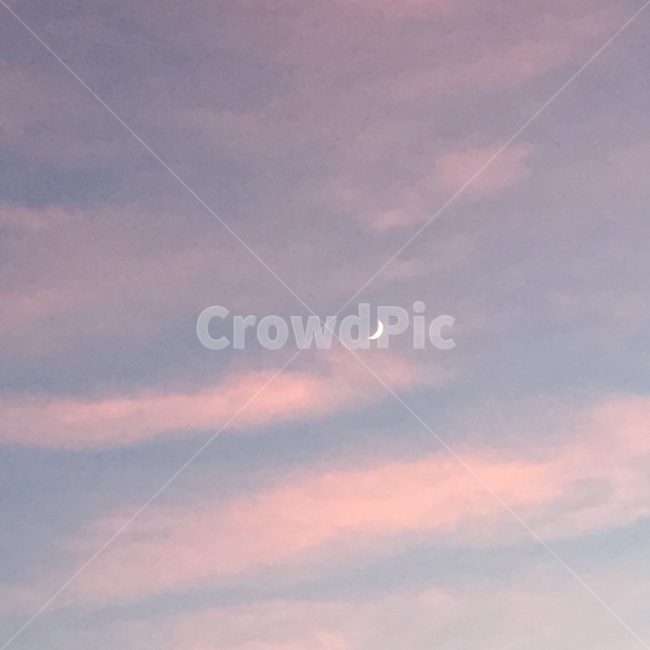하늘,달,구름,색감,해질녘,sky,moon,pink,blue,cloud,sunset,color,자연,풍경,nature,landscape,색깔,색상,색채,색감,color sense,color sensitivity,feeling of color,outdoors,옥외