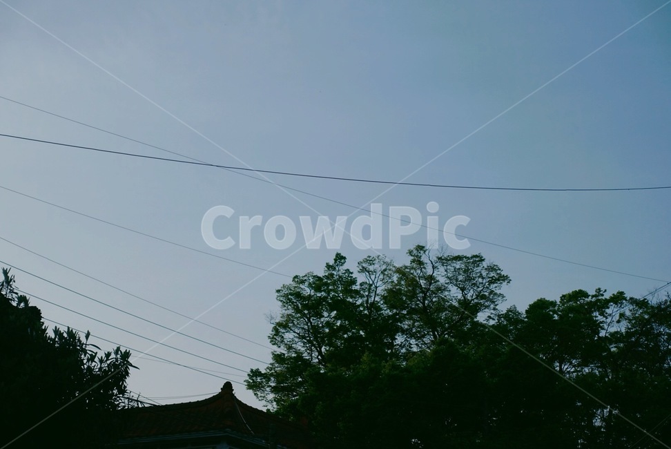 하늘,나무,평화로움,sky,tree,자연,풍경,nature,landscape,cable,케이블