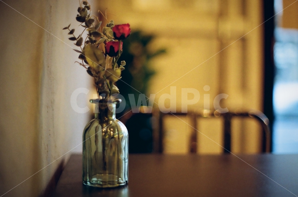 인테리어,술집,분위기,실내인테리어,꽃병,장미,필름사진,식물,자연,plants,nature,꽃,flower,감성,sensible,feeling,인테리어,실내디자인,interior design