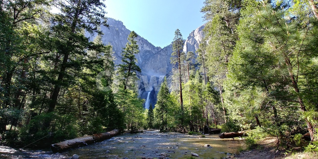 요세미티국립공원,요세미티폭포,yosemitefalls,요세시티명소,숲