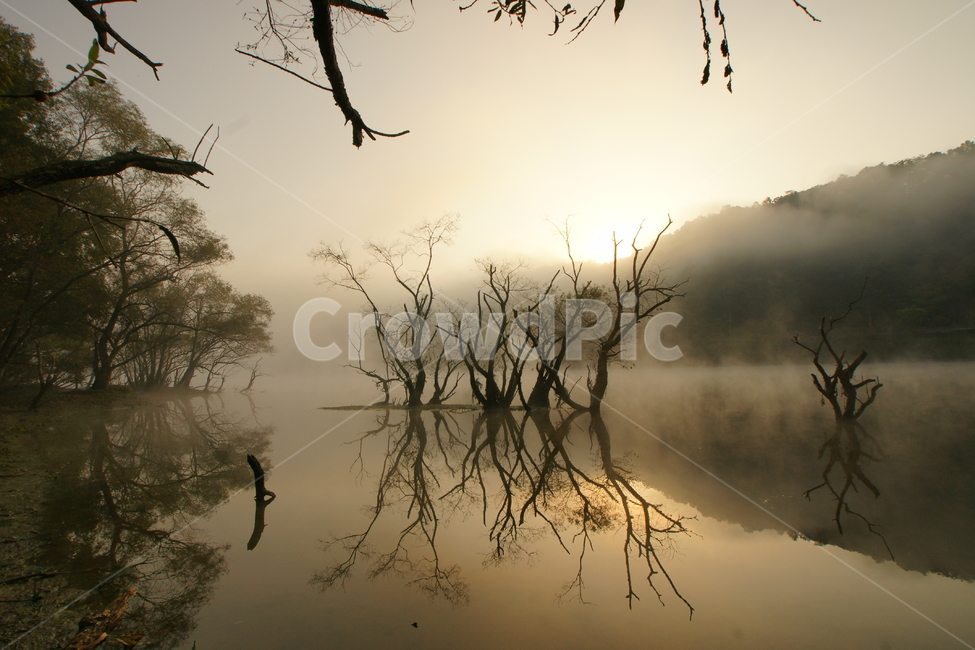 금강,대덕구,안개,반영,대청댐,자연,풍경,nature,landscape,한국자연풍경,한국자연경관,korea nature landscape,outdoors,옥외,weather,날씨