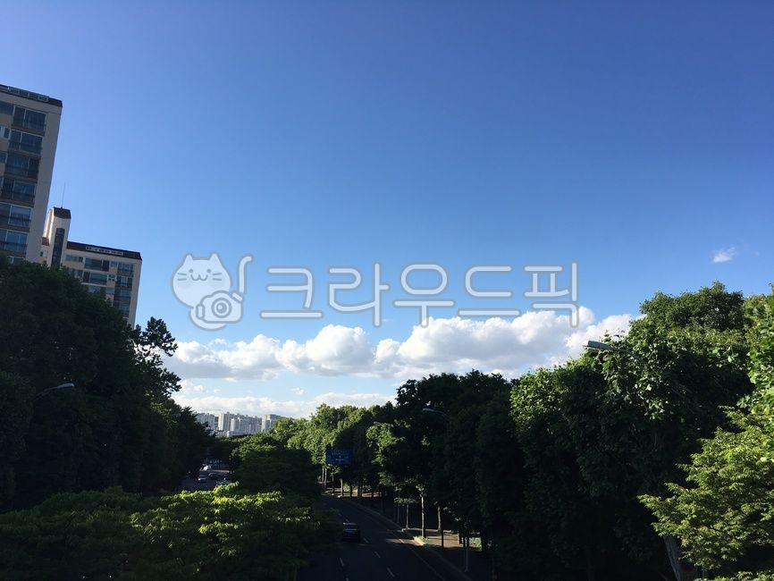 sky,cloud,driveway,tree,road name,clouds,apartment
