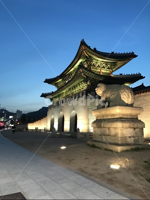 광화문,서울,한국,building,건물,architecture,건축물,야경,밤,풍경,nightscape,night,landscape,랜드마크,landmark,tourist attraction,한국랜드마크,한국관광지,한국명소,korea landmark,korea tourist attraction