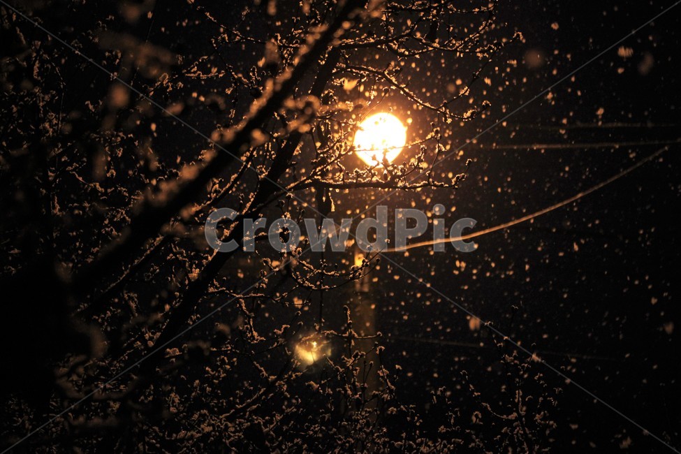 빛,겨울,눈,가로등,겨울밤,겨울,계절,winter,season,야경,밤,풍경,nightscape,night,landscape