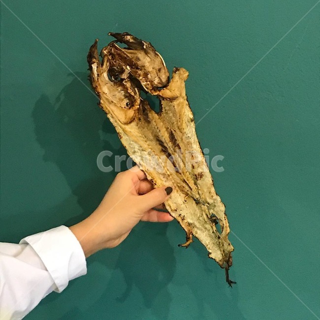 먹태,청록색배경,초록색배경,말린생선,손,음식,식재료,요리,food,cook,meal,dishes,food reserves