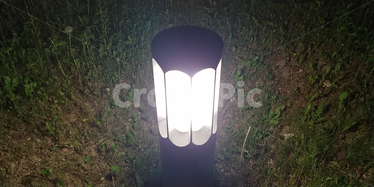 가로등,어둠,불빛,풀밭,led