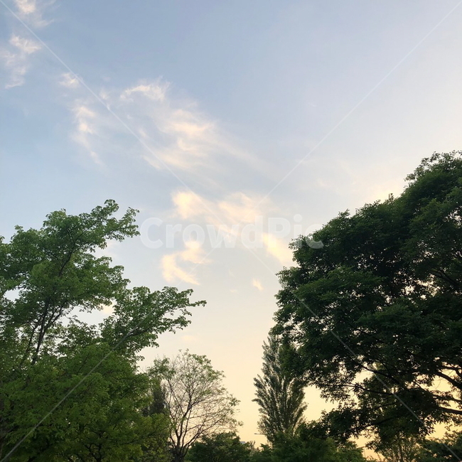 하늘,구름,노을,풍경,배경