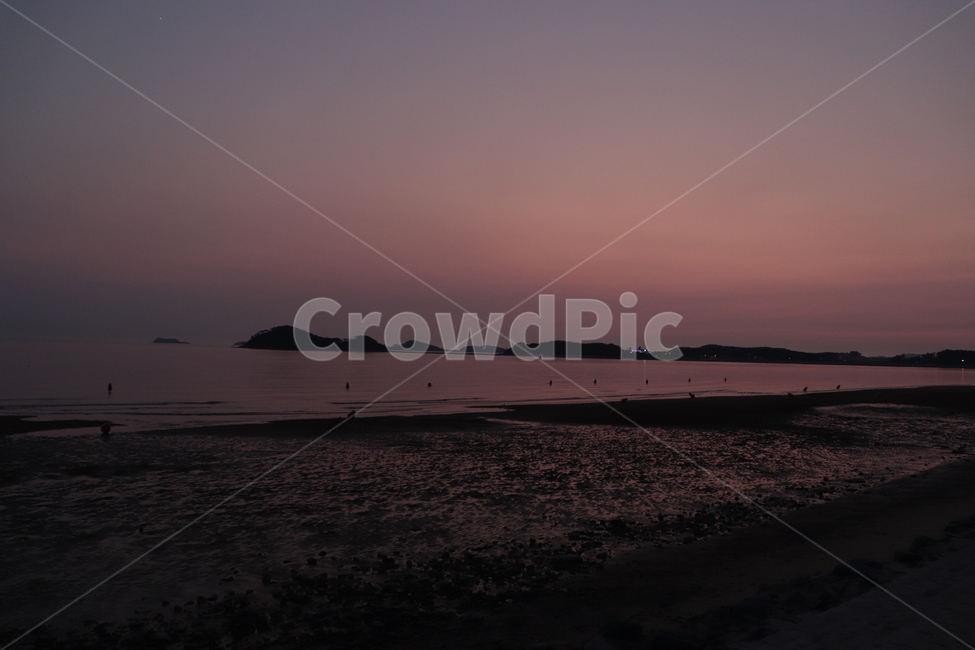 안면도,썰물,바다,해수욕장,석양,자연,풍경,nature,landscape,해변,바다,beach,sea,outdoors,옥외