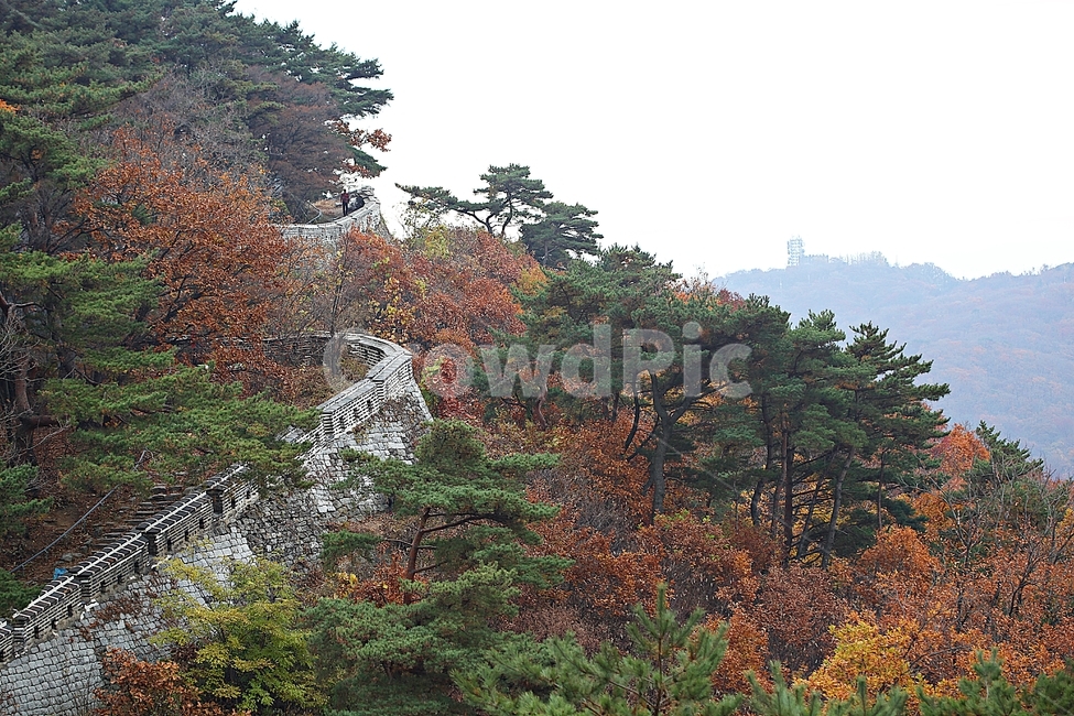 남한산성,성,성곽,단풍,낙엽,길,둘레길,숲,숲길,담,돌담,가을,자연,풍경,벽,울긋불긋,산성,식물,가을,계절,fall,autumn,season