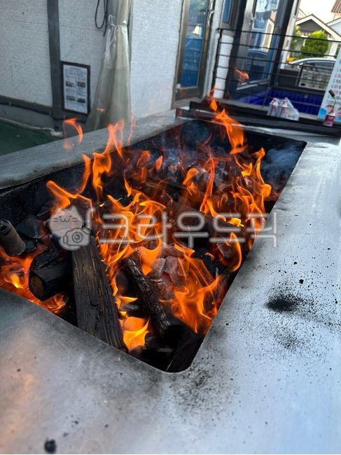 Grill,brazier,firewood,fire,fire hole,charcoal,bonfire,Camping,charcoal fire,camp