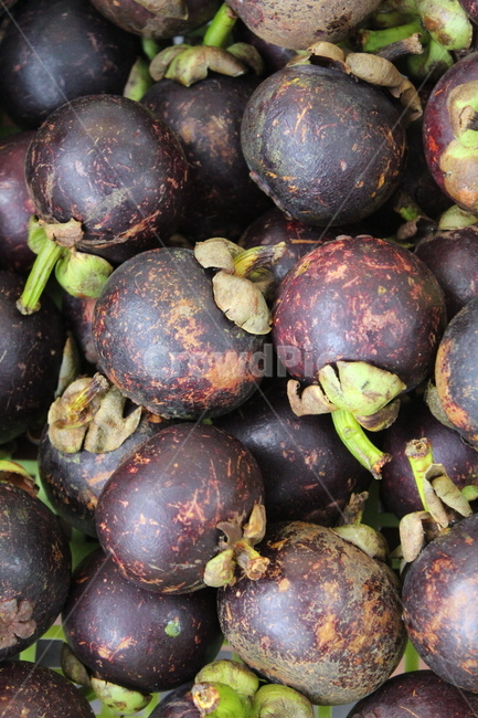망고스틴,과일,열대과일,음식,열매,mangosteen,fruit,food,과일,열매,fruit