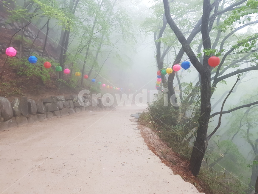 자연,날씨,안개,mist,weather,fog