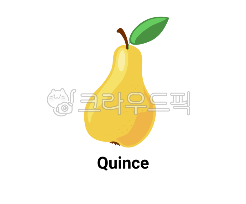 모과, plant, pear, 배, 식물, 사진,이미지,일러스트,캘리그라피 - 프레즌트작가
