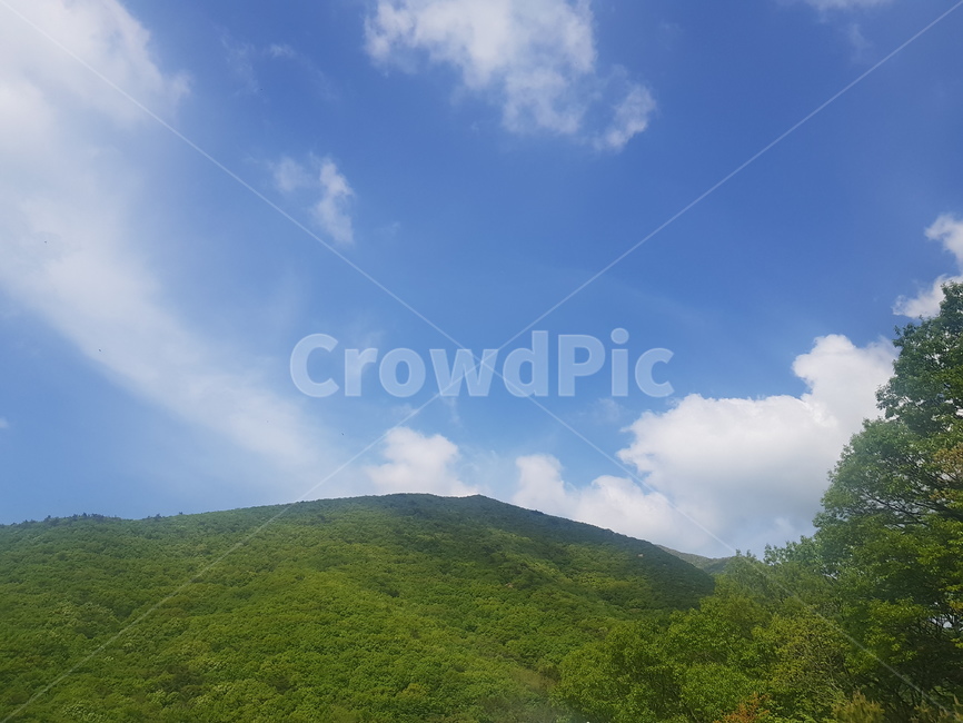 산,하늘,나무,식물,구름,맑음