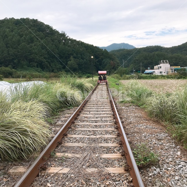 레일바이크,자연,산,레일,경치,railway,자갈,흙길,자연,풍경,nature,landscape