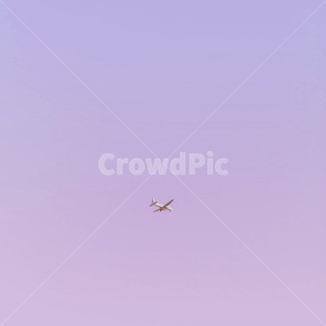 보라,보라색,하늘,비행기,심플,여행,휴가,traveling,vacation,trip,교통,교통수단,traffic,transportation