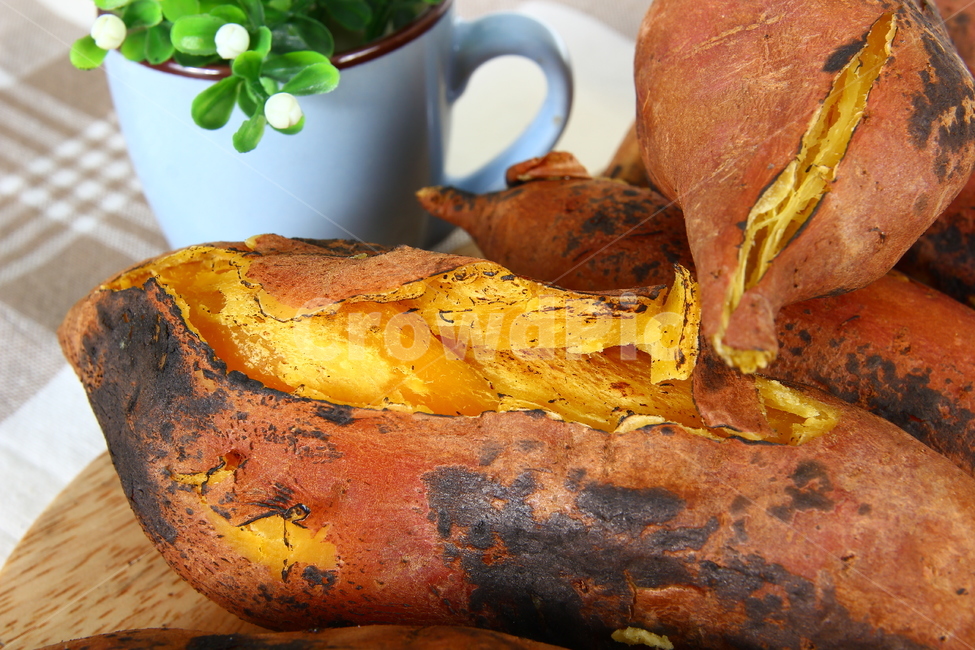 고구마,군구고마,구황작물,음식,식품,간식,호박고구마,밤고구마,달콤,sweetpotatoes,gourd,gourdcrop,food,snacks,sweet,음식,식재료,요리,food,cook,meal,dishes,food reserves,연출,컨셉,콘셉,direction,concept