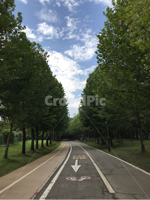 공원,길,도로,가을,하늘,자연,풍경,nature,landscape,road,asphalt,아스팔트,freeway,고속 도로,highway,고속도로